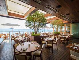 NOBU | Newport Beach Electric Boats Rental | Duffy