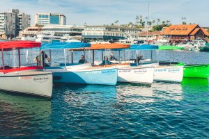 exclusive promotions - Lido Marina Village | Newport Beach Electric Boats Rental | Duffy