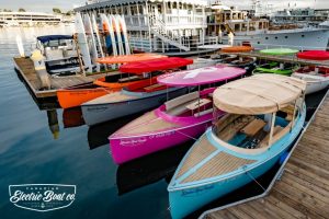2018 FANTAIL 217 | PINK | 4