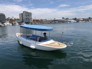 2019 FANTAIL 217 | WHITE – BABY BLUE | 3