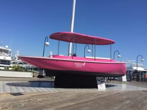 2018 FANTAIL 217 | PINK