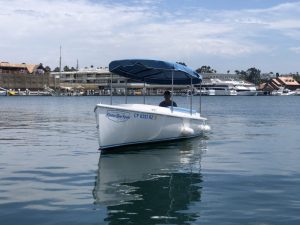 2019 FANTAIL 217 | WHITE – BABY BLUE | 5