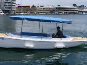 2019 FANTAIL 217 | WHITE – BABY BLUE | 6