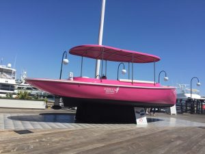 2018 FANTAIL 217 | PINK | 3