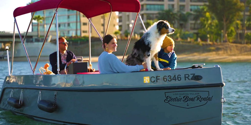 Dog riding in a Volt 180 at Vision Electric Boat Rental