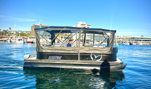 The Pontoon: Your All-Weather Harbor Cruise